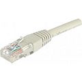 Câble Ethernet CONECTICPLUS CAT6  UTP beige