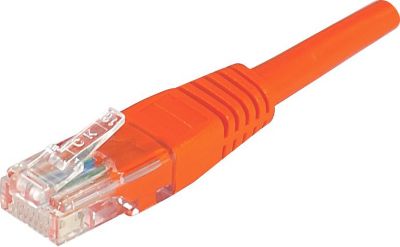 Câble Ethernet CONECTICPLUS Câble ethernet Cat 6 0.30m SFTP beige