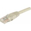 Câble Ethernet CONECTICPLUS CAT5 0.30m UTP beige