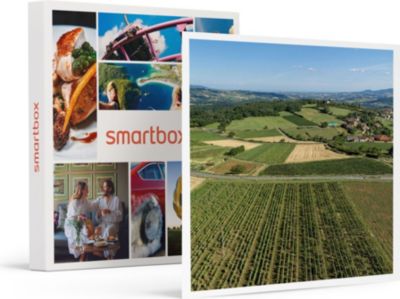 Coffret cadeau SMARTBOX Vol en montgolfière pour 2 personnes au- Coffret cadeau SMARTBOX Vol en montgolfière pour 2 personnes au-