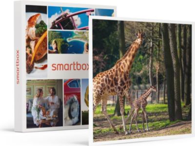 Coffret cadeau SMARTBOX Journée zoo en duo : 2 entrées adultes p Coffret cadeau SMARTBOX Journée zoo en duo : 2 entrées adultes p
