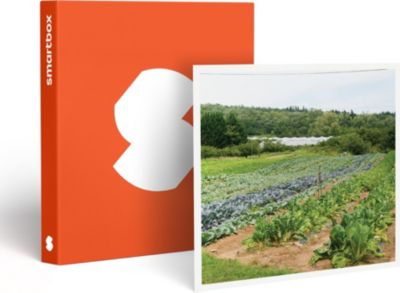 Coffret cadeau SMARTBOX Séjour insolite en famille : 5 jours en Coffret cadeau SMARTBOX Séjour insolite en famille : 5 jours en