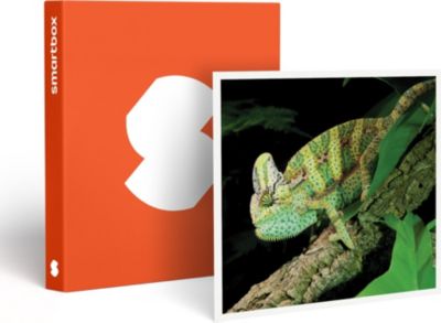 Coffret cadeau SMARTBOX Rencontre avec les reptiles et les amphi Coffret cadeau SMARTBOX Rencontre avec les reptiles et les amphi