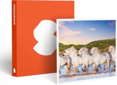 Coffret cadeau SMARTBOX Séjour romantique : 2 jours dans un hôte Coffret cadeau SMARTBOX Séjour romantique : 2 jours dans un hôte