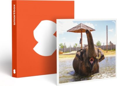 Coffret cadeau SMARTBOX Tanière Zoo Refuge : immersion avec les Coffret cadeau SMARTBOX Tanière Zoo Refuge : immersion avec les