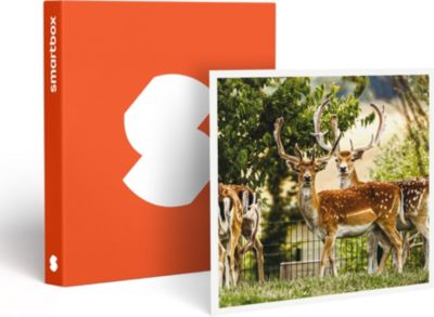 Coffret cadeau SMARTBOX Tanière Zoo Refuge : immersion avec les Coffret cadeau SMARTBOX Tanière Zoo Refuge : immersion avec les