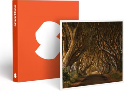 Coffret cadeau SMARTBOX 4 jours à Dublin avec visite guidée des Coffret cadeau SMARTBOX 4 jours à Dublin avec visite guidée des