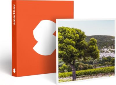 Coffret cadeau SMARTBOX Box œnologie : 6 bouteilles de vin rosé Coffret cadeau SMARTBOX Box œnologie : 6 bouteilles de vin rosé