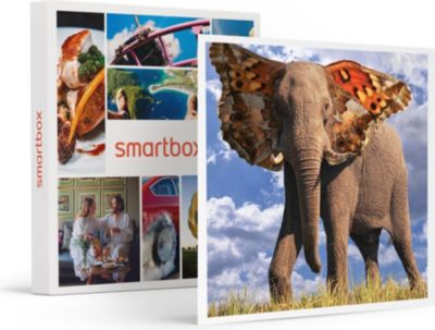 Coffret cadeau SMARTBOX Maîtrisez Photoshop : Cours en ligne ave Coffret cadeau SMARTBOX Maîtrisez Photoshop : Cours en ligne ave