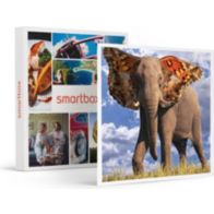 Coffret cadeau SMARTBOX Maîtrisez Photoshop : Cours en ligne ave