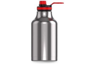 Bouteille isotherme LES ARTISTES XL metal Argent 2000ml