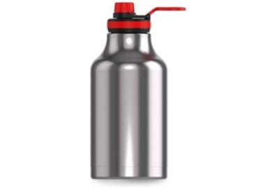 Bouteille isotherme LES ARTISTES XL metal Argent 2000ml