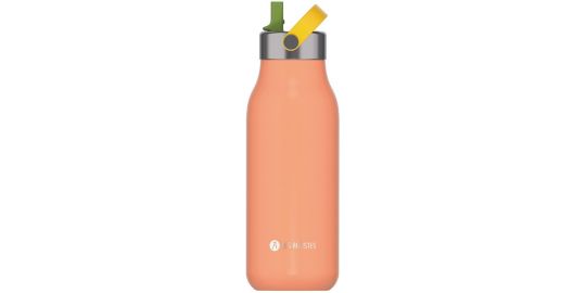 Bouteille isotherme LES ARTISTES 2.0 Sunset 1L