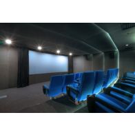 Ecran de projection ORAY Velours Home cinema IMAGE 135x240