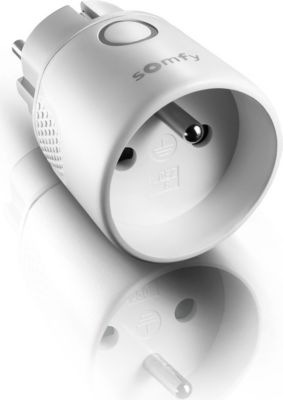 Télécommande SOMFY Prise télécommandée On/Off io