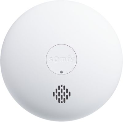 Accessoire pour alarme SOMFY Détecteur de fumée
