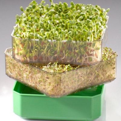 Jardin d'intérieur GERMLINE Germoir - Germoir à étages