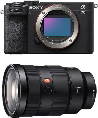 Appareil photo Hybride SONY 251337