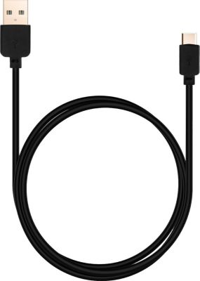 AVIZAR USB-C vers USB 1m Charge / Synchro