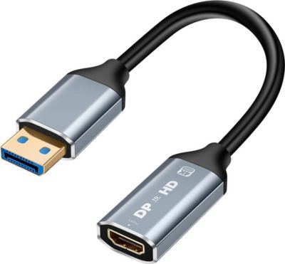 Adaptateur Displayport/HDMI LINQ HDMI Femelle vers DisplayPort Mâle 4K