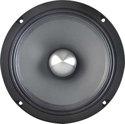 Pièce détachée AVIZAR 240W Sensibilité 92dB 16×16cm