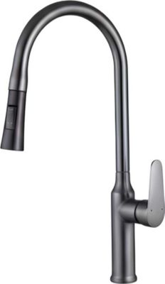 Robinet AVIZAR avec douchette Rétractable Double Mode