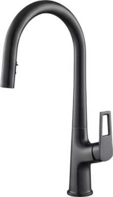 Robinet AVIZAR Extensible à Double Fonction Bec Haut