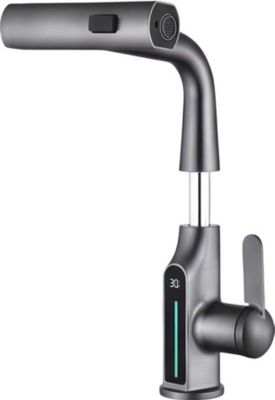 Robinet AVIZAR Extensible avec Affichage de Température