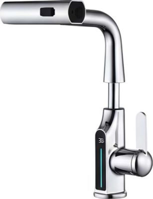 Robinet AVIZAR Extensible avec Affichage de Température