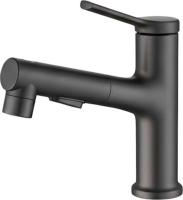 Robinet AVIZAR Extensible avec Fonction Rinçage Buccal