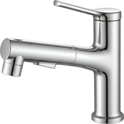 Robinet AVIZAR Extensible avec Fonction Rinçage Buccal