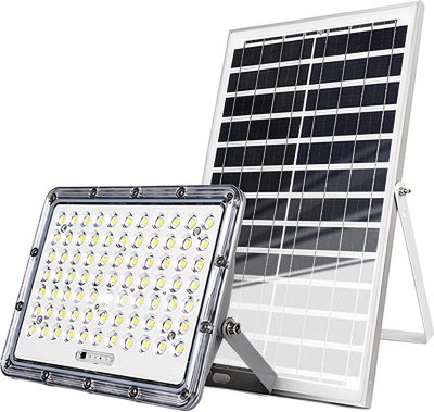 Lampe LED AVIZAR Solaire 9000K 13W avec Panneau Solaire