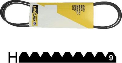 Courroie BEKO COURROIE 1967 H9 POLY V - 2953240200