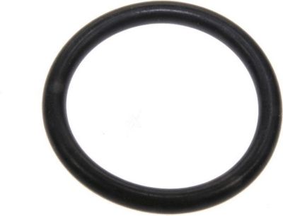 Kit de réparation RIVIERA ET BAR joint torique porte filtre