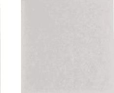 Kit de réparation ELECTROLUX filtre moteur ef1 entree moteur 204x295