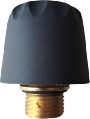 Pièce détachée POLTI BOUCHON DE CHAUDIERE 5 BAR - M0002861 Pièce détachée POLTI BOUCHON DE CHAUDIERE 5 BAR - M0002861