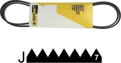 Courroie WHIRLPOOL COURROIE 1301 J7 - 481235818209