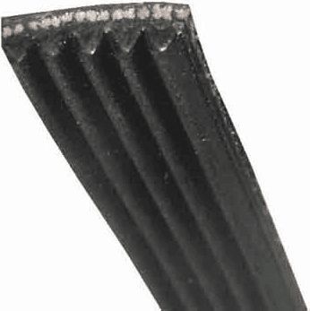 Courroie BOSCH courroie 1956 j6