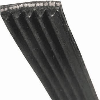 Courroie BOSCH courroie 1956 j6