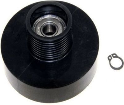 Courroie BOSCH POULIE DE TENSION TENDEUR - 00600436