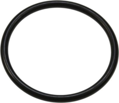 Pompe KARCHER JOINT 21.95 X 1.78 - 63625620