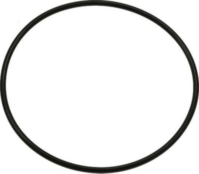 Pompe KARCHER BAQUE D'ETANCHEITE 60,0X2,0 -NBR70