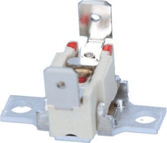 Thermostat BOSCH limiteur de temperature 110°