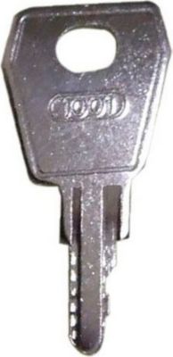 Pièce détachée LIEBHERR CLE N° 1001 - 7042196