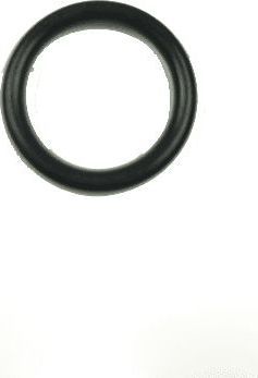 Pompe KARCHER BAQUE D ETANCHEITE 20.0 X 3.0 -...