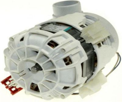 Moteur CURTISS moteur pompe de cyclage ee251mc1 Moteur CURTISS moteur pompe de cyclage ee251mc1