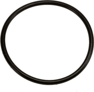 Pompe KARCHER BAQUE D’ÉTANCHÉITÉ - 63623760 Pompe KARCHER BAQUE D’ÉTANCHÉITÉ - 63623760