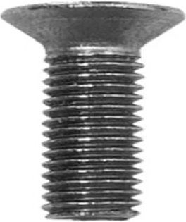 Vis BOSCH vis cache ampoule