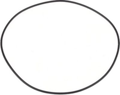 Pompe KARCHER JOINT TORIQUE 100,0 X 1,78 POUR NETTOYEU Pompe KARCHER JOINT TORIQUE 100,0 X 1,78 POUR NETTOYEU