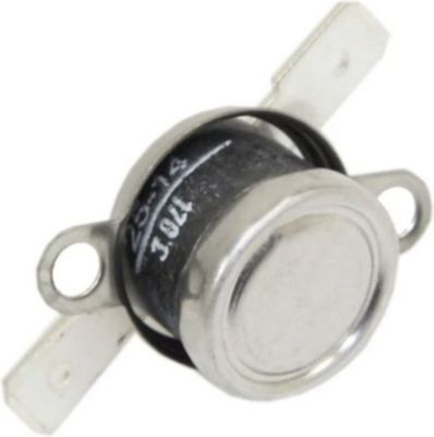 Thermocouple SAUTER thermostat de securite/regulateur 170°